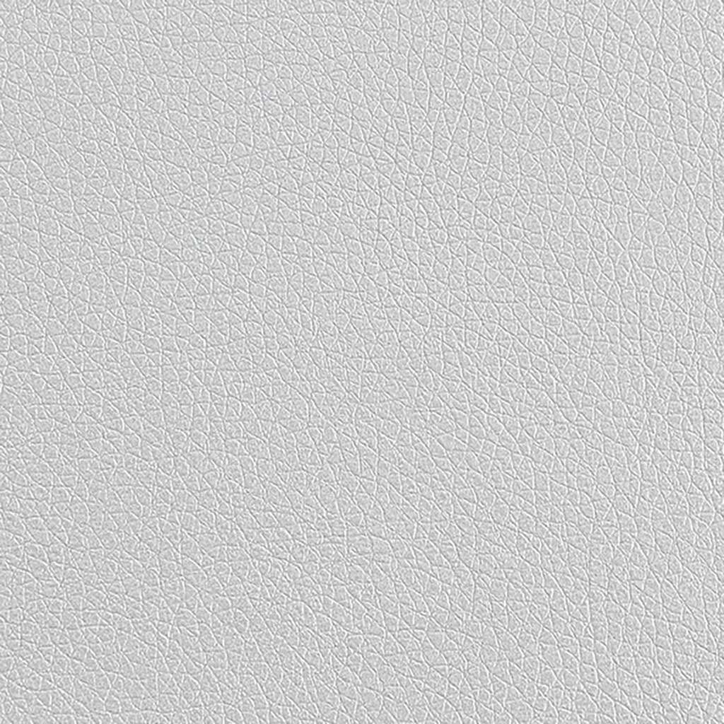 Zeus Deluxe Silver_tile